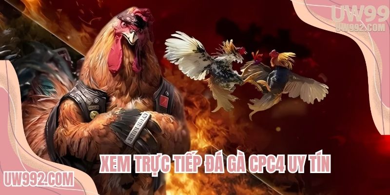 Cập nhật cách xem trực tiếp đá gà online uy tín